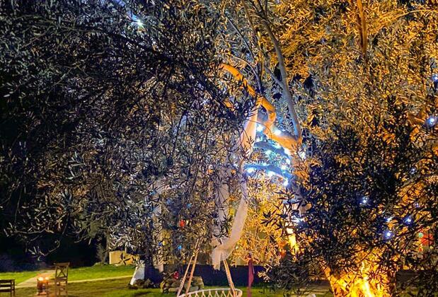 Yiva Otel Kazdağları - Görsel 8