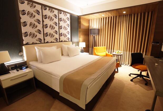 Holiday Inn Kayseri - Görsel 5
