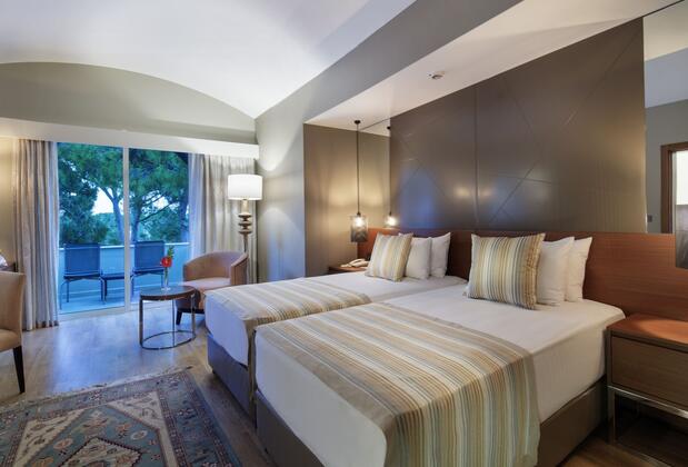 Papillon Ayscha Hotel Resort & SPA - Görsel 21