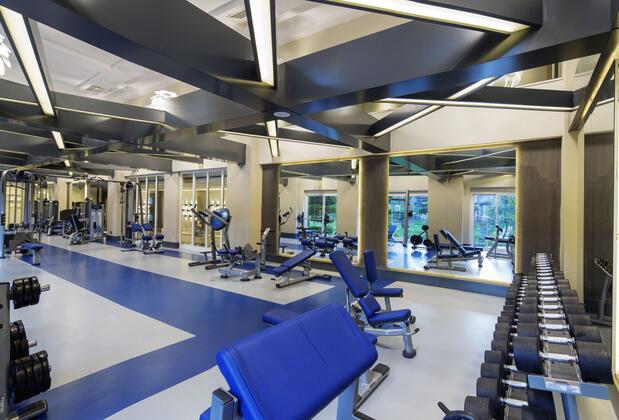 Papillon Ayscha Hotel Resort & SPA - Görsel 12