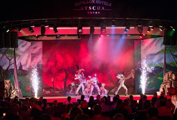 Papillon Ayscha Hotel Resort & SPA - Görsel 16