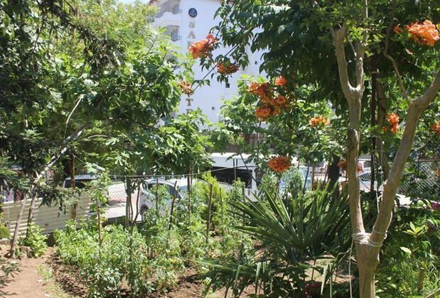 Termal Orkide Motel - Görsel 11