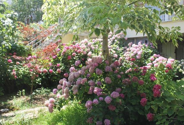 Termal Orkide Motel - Görsel 7