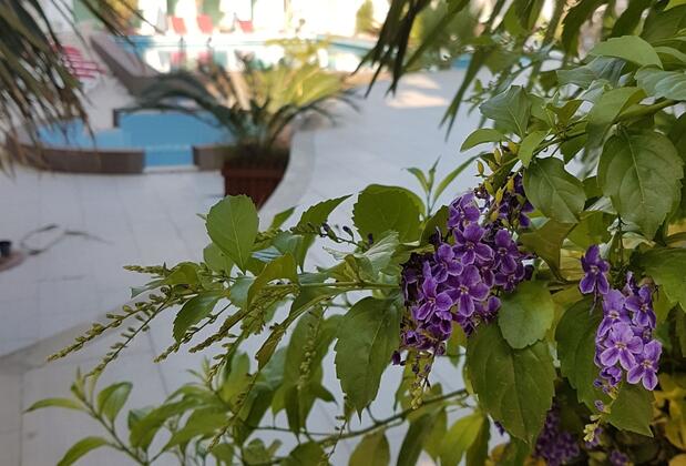 Pidasus Otel - Görsel 4