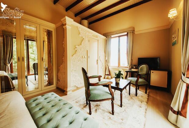 Sofia Boutique Hotel - Görsel 27