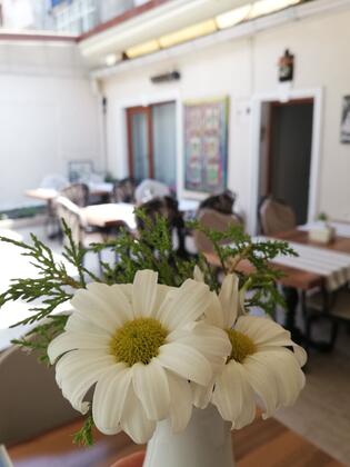 Daffne Butik Otel - Görsel 12