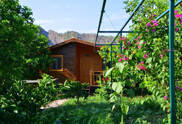 Lemon Garden Lodge - Görsel 5