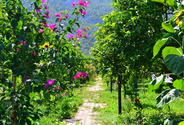 Lemon Garden Lodge - Görsel 11