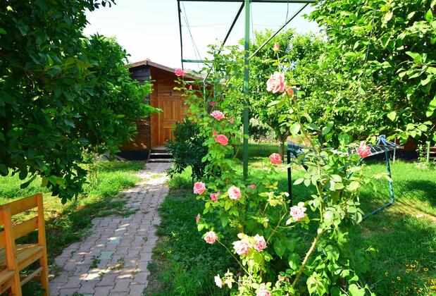 Lemon Garden Lodge - Görsel 9