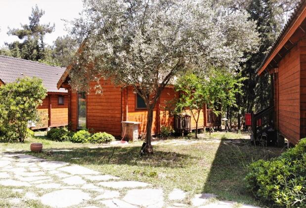 Olympos Village Hotel - Görsel 9