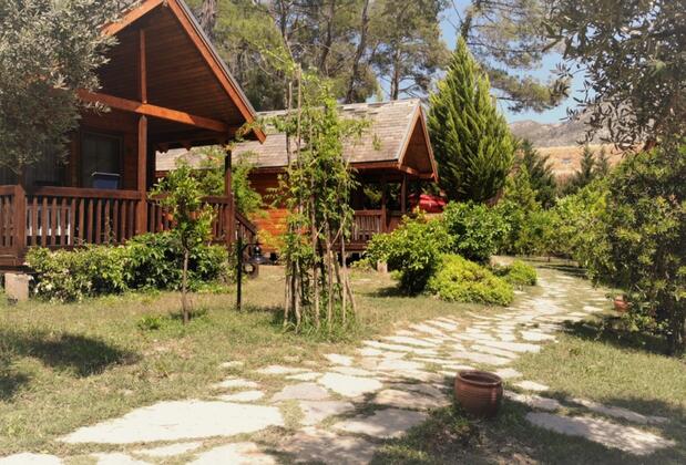 Olympos Village Hotel - Görsel 13