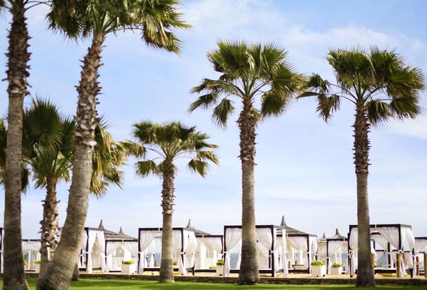 Lara Barut Collection - Görsel 6