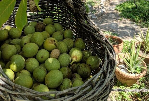 Bahab Guest House - Görsel 38