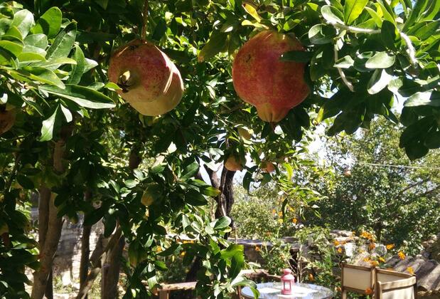 Bahab Guest House - Görsel 34