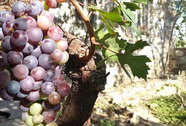 Bahab Guest House - Görsel 37