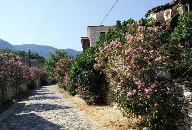 Bahab Guest House - Görsel 9