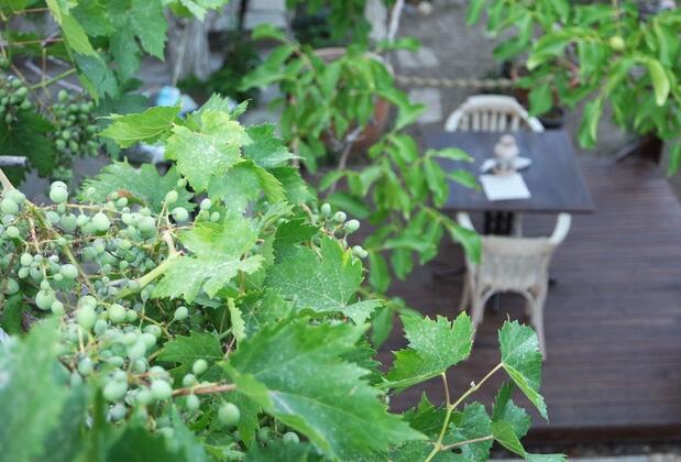 Bahab Guest House - Görsel 36