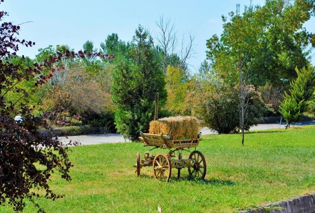 Agiros Termal Spa Resort Hotel - Görsel 12