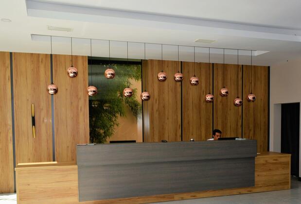 Agiros Termal Spa Resort Hotel - Görsel 40