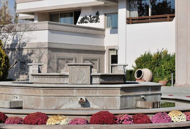 Ağaçlı Otel - Görsel 6