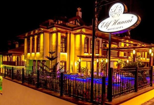 Elif Hanım Hotel & Spa - Görsel 4