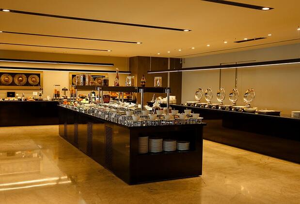 Ramada Plaza İstanbul Asia Airport - Görsel 12