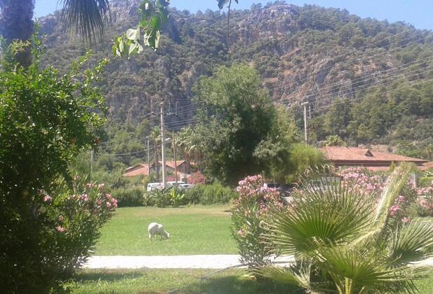 Club Mel Holiday Resort - Görsel 18