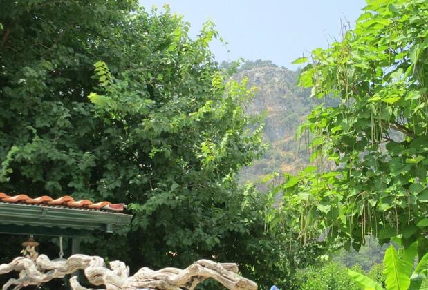 Club Mel Holiday Resort - Görsel 20