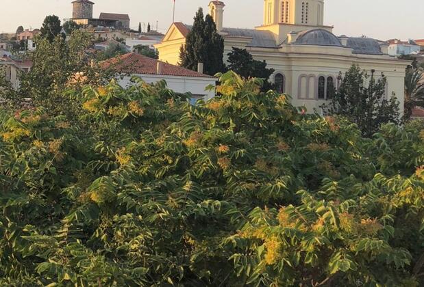 Amantes Cunda Butik Otel - Görsel 3