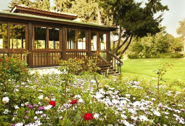 Natur-Med Hot Springs and Health Resort - Görsel 8