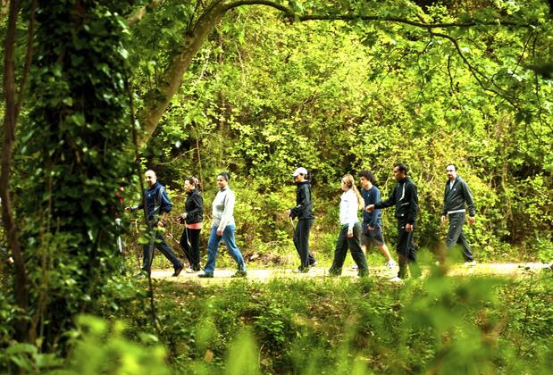 Natur-Med Hot Springs and Health Resort - Görsel 6