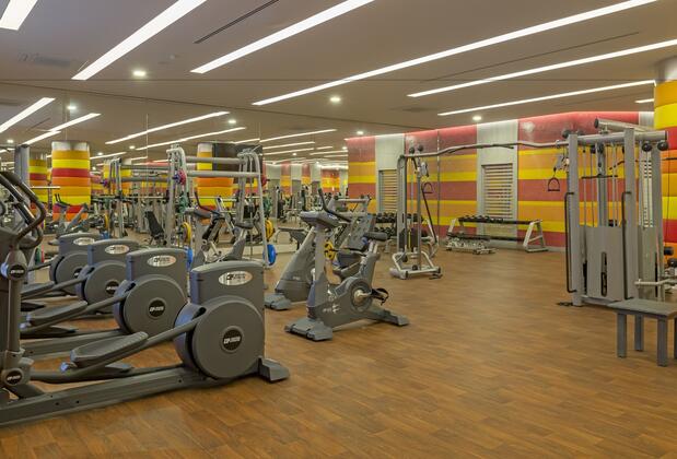 Royal Seginus - Görsel 14