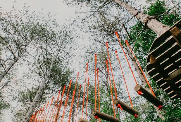 Longosphere Glamping - Görsel 49