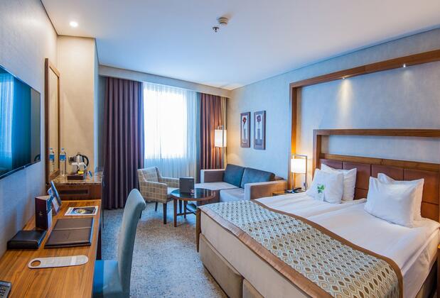 Dedeman Konya Hotel & Convention Center - Görsel 10