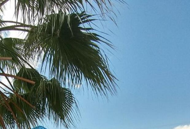 Andros Family Club - Görsel 43