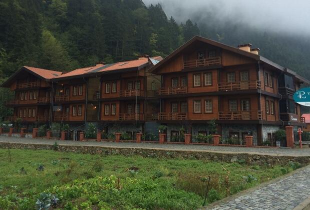 Royal Uzungöl Hotel - Görsel 3