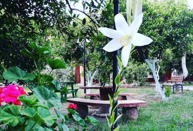 Portakalya Pansiyon - Görsel 17