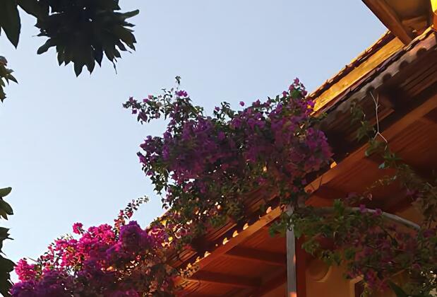 Portakalya Pansiyon - Görsel 14