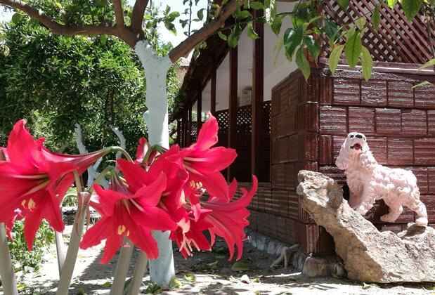 Portakalya Pansiyon - Görsel 20