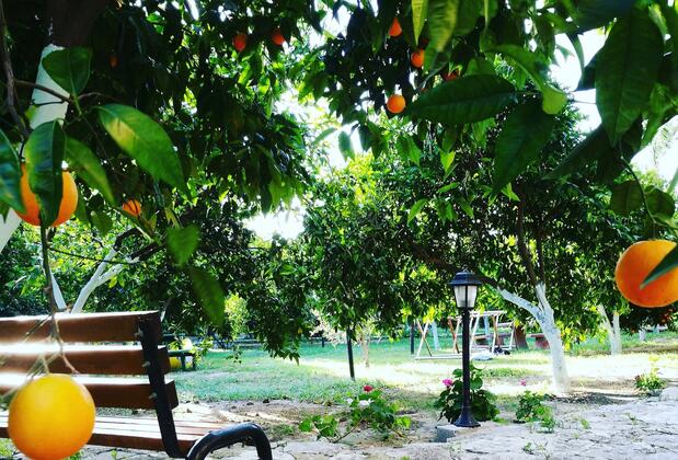 Portakalya Pansiyon - Görsel 22