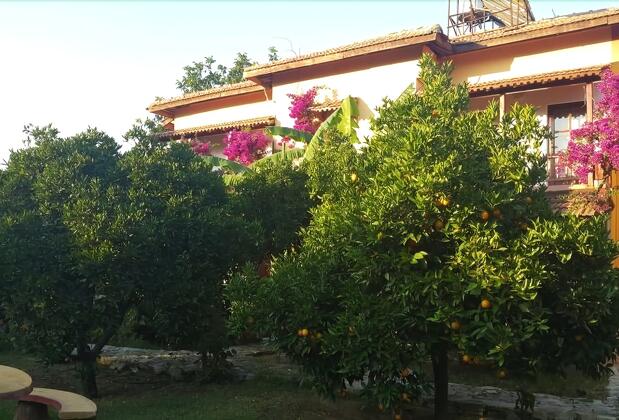 Portakalya Pansiyon - Görsel 15