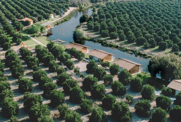 Turkuaz Köy - Görsel 15