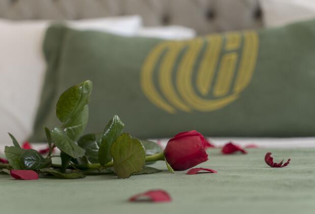 Mirart Hotel Boutique Spa Yalova - Görsel 25