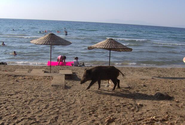 Panion Park Residence - Görsel 6