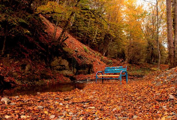 Abant Bahçeli Köşk - Görsel 11