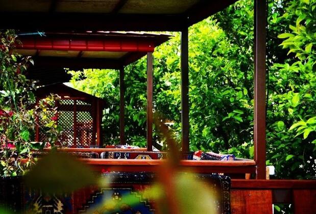 Jumanji Concept - Görsel 14