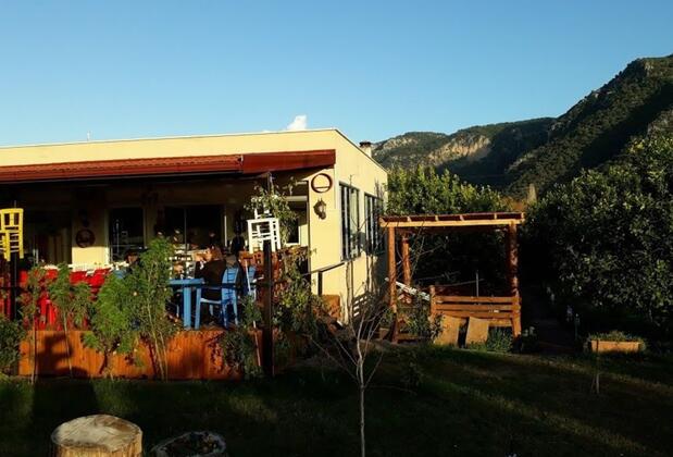 Jumanji Concept - Görsel 12