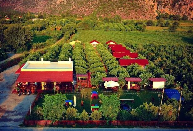 Jumanji Concept - Görsel 6