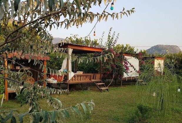 Jumanji Concept - Görsel 11