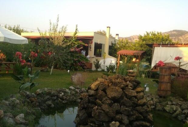 Jumanji Concept - Görsel 15